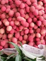 মাদ্রাজী লিচু ১০০‌পিস